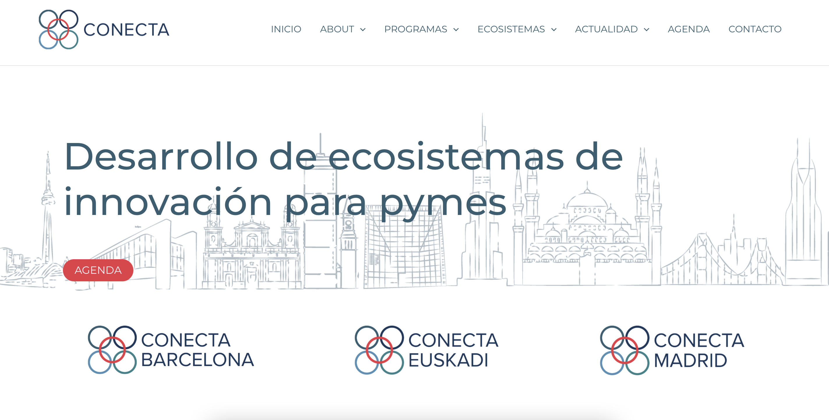 Web Conecta Home